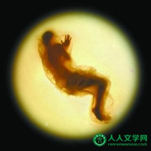 越孤独的人越擅长社交?