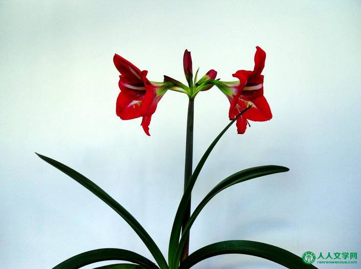 人生之最高境界:至简!