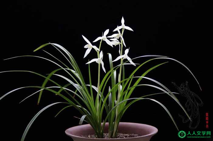 人生之最高境界:至简!