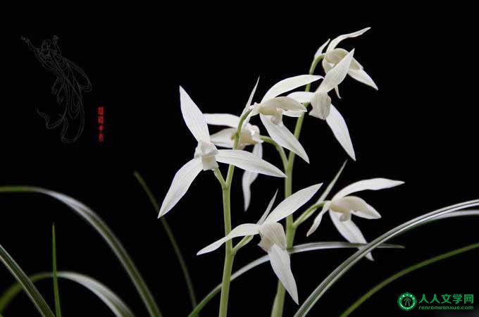 人生之最高境界:至简!