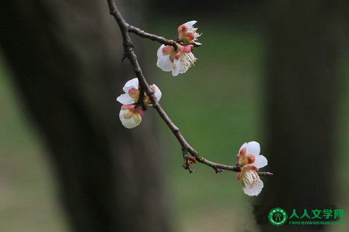 Īһʫңж - ɽϪ - ɽϪ 