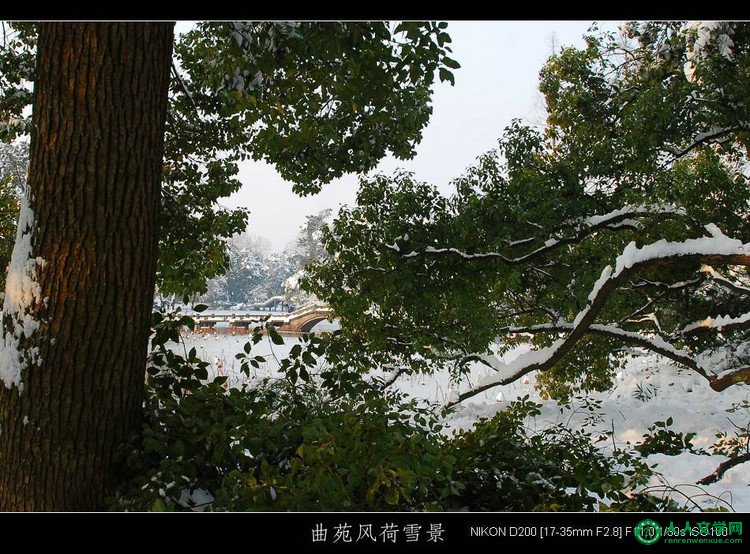 西湖美景:曲苑风荷-1 (雪景) - 山间溪流 - 山间溪流的休闲屋