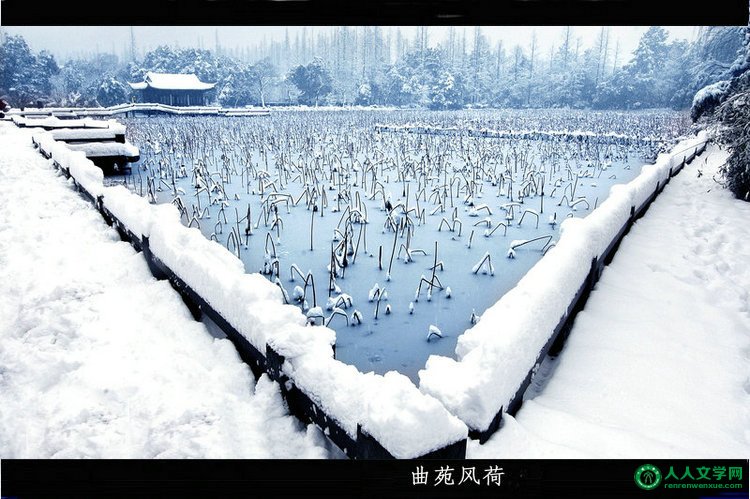 西湖美景:曲苑风荷-1 (雪景) - 山间溪流 - 山间溪流的休闲屋