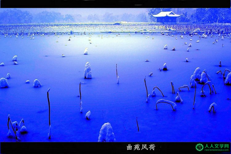 西湖美景:曲苑风荷-1 (雪景) - 山间溪流 - 山间溪流的休闲屋