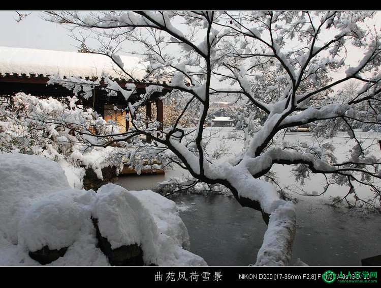 西湖美景:曲苑风荷-1 (雪景) - 山间溪流 - 山间溪流的休闲屋