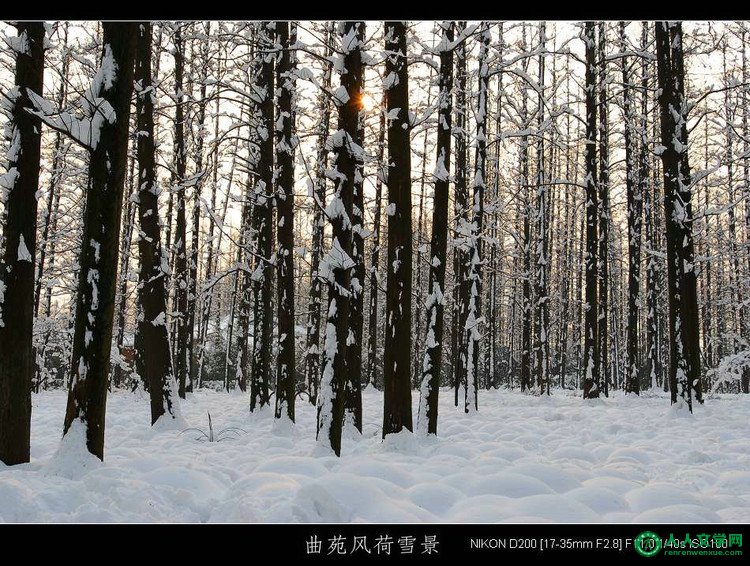 西湖美景:曲苑风荷-1 (雪景) - 山间溪流 - 山间溪流的休闲屋