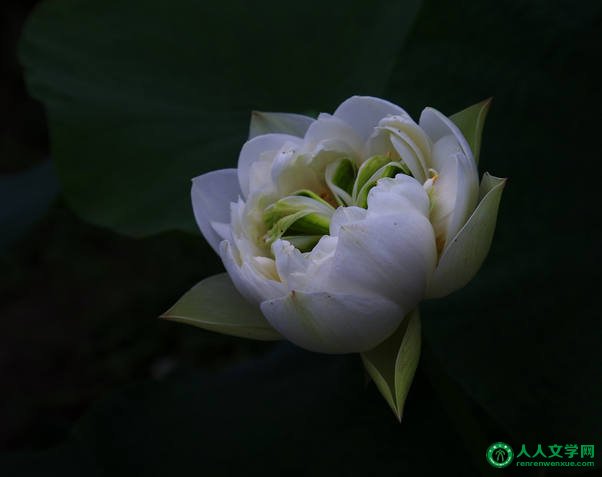 给心灵一片高贵的天空