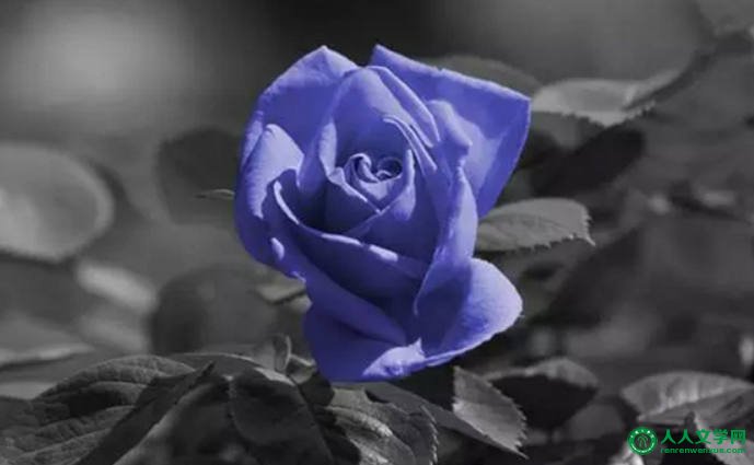 给心灵一片高贵的天空