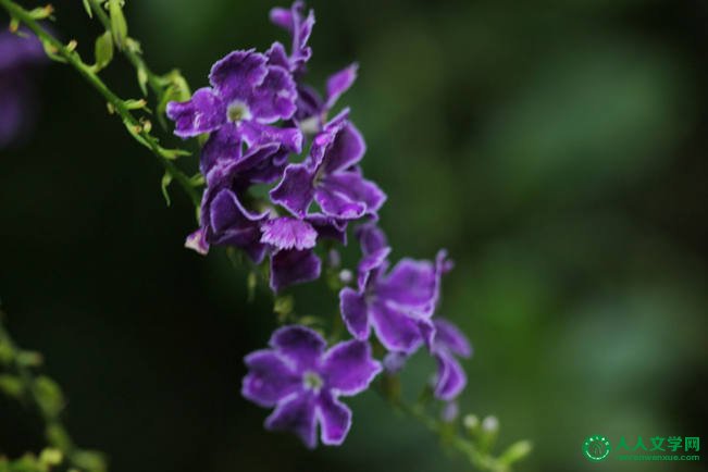 给心灵一片高贵的天空