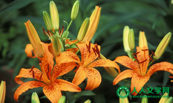 2017ʦʺʲô  2017ʦʲôʦ _www.DNjIsHU.com