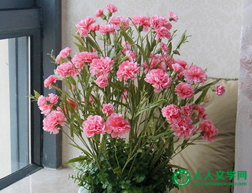 2017ʦʺʲô  2017ʦʲôʦ _www.DNjIsHU.com